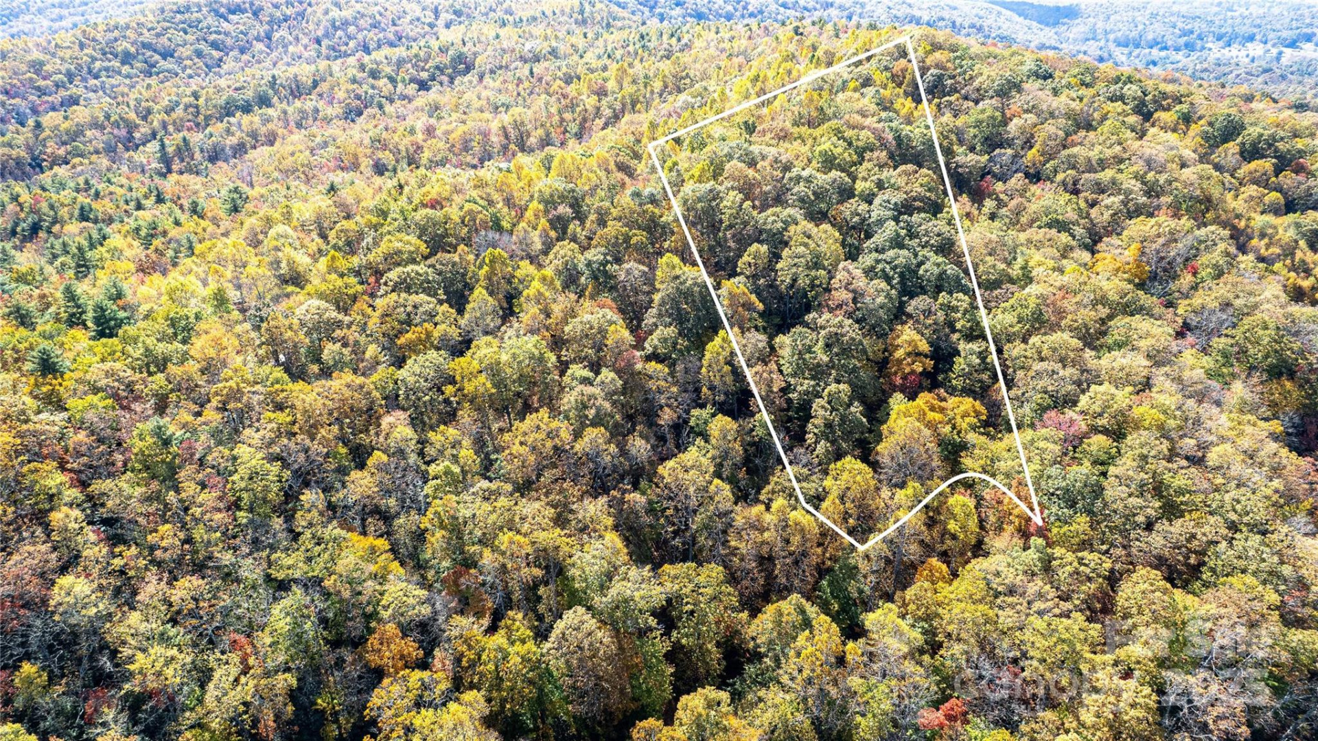 TBD Reserve Road #9A - Photo 4