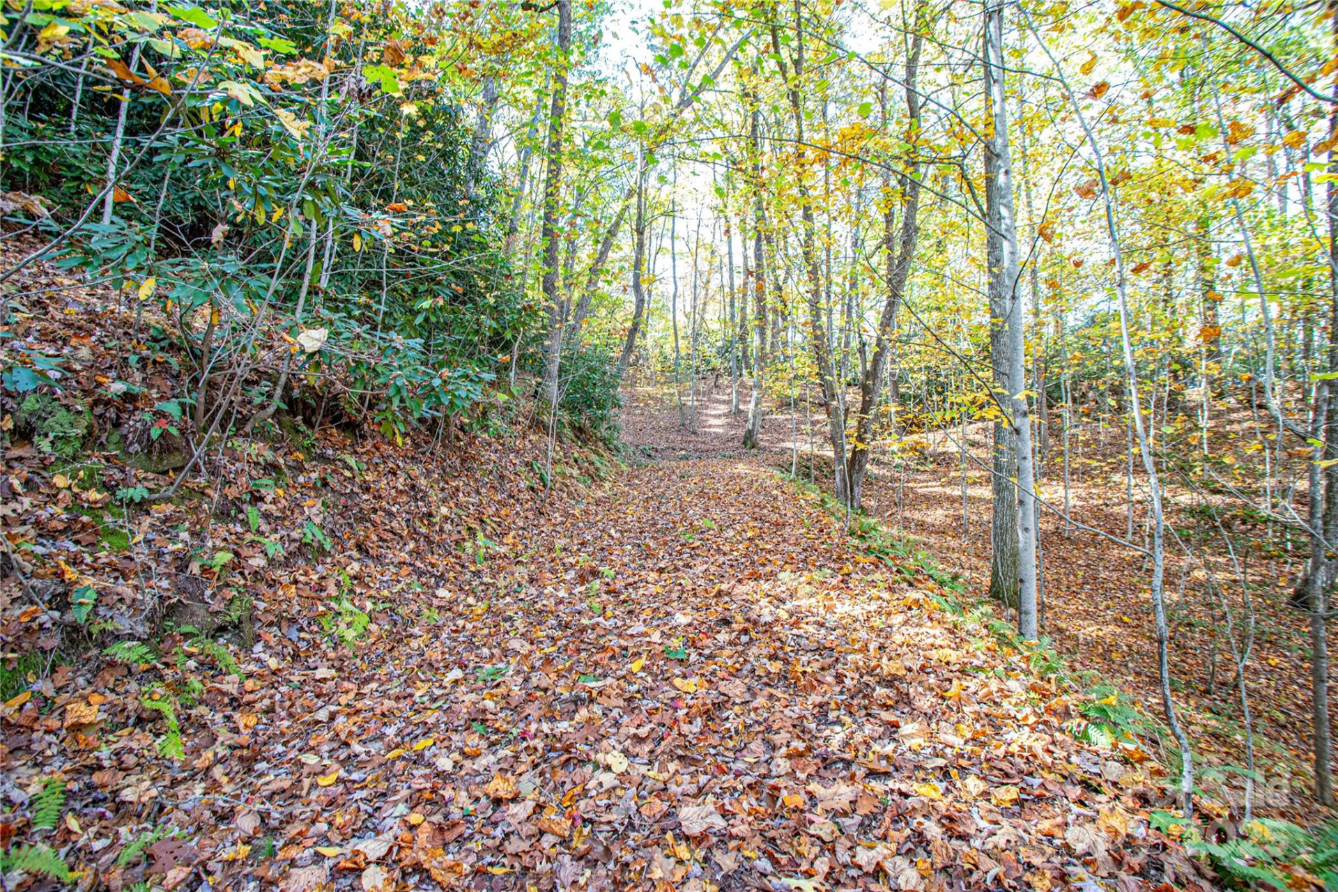 TBD Reserve Road #9A - Photo 9