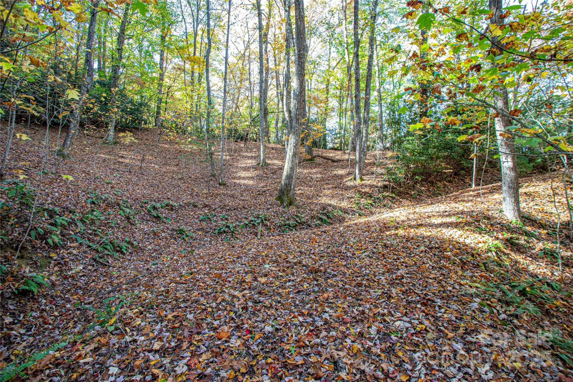 TBD Reserve Road #9A - Photo 10