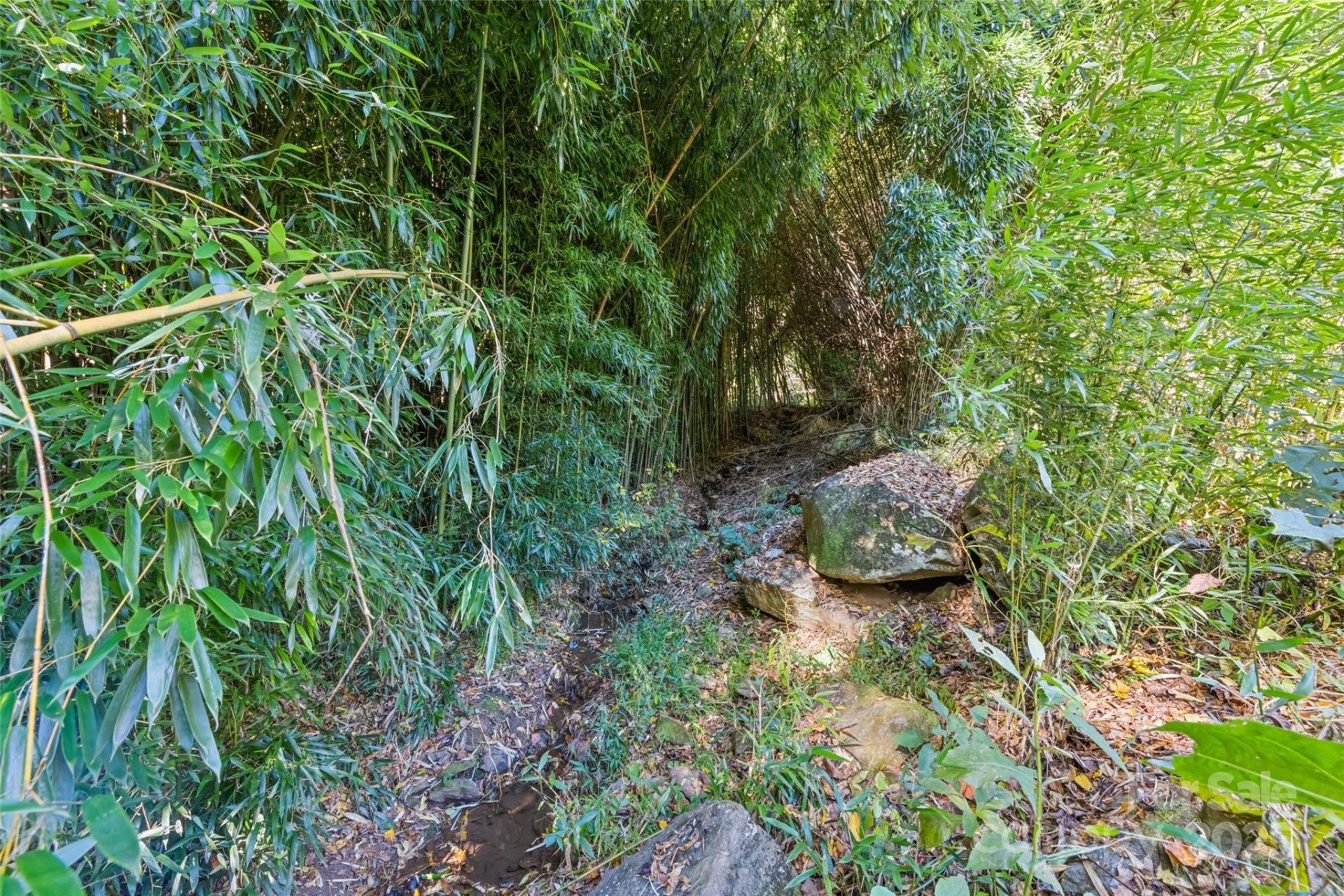 1807 Fisher Creek Road - Photo 28