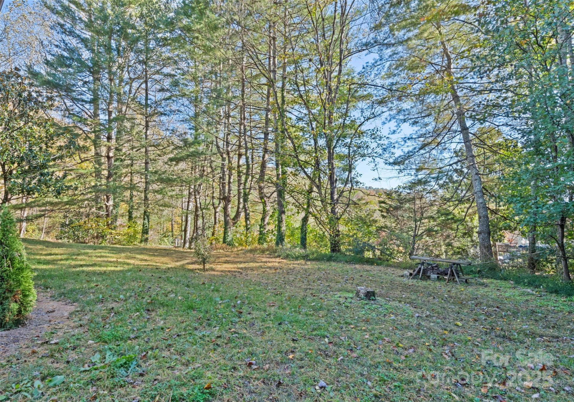 1807 Fisher Creek Road - Photo 37