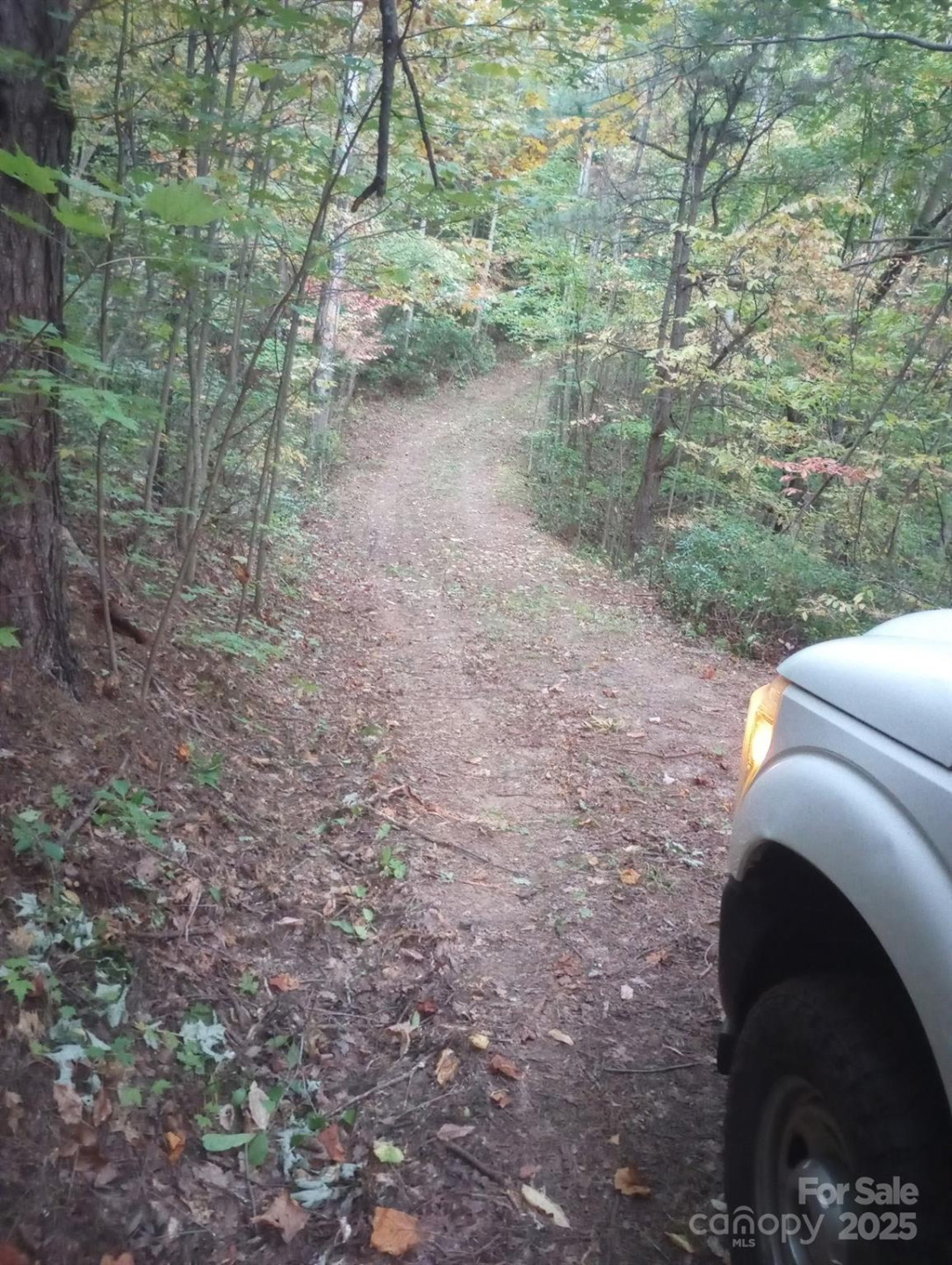 368 Sassafras Drive #726 - Photo 11