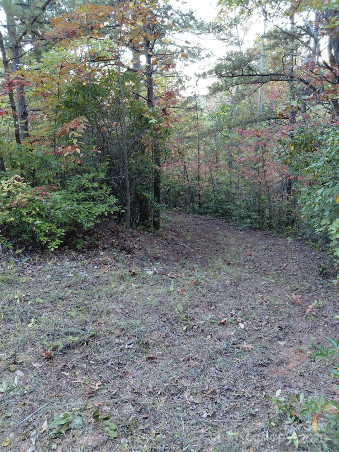 368 Sassafras Drive #726 - Photo 12