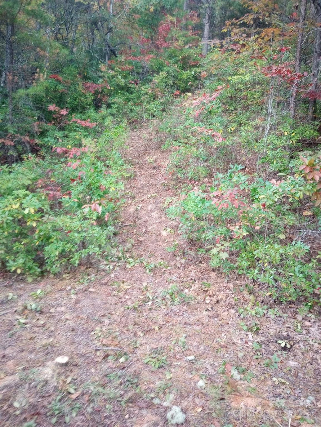 368 Sassafras Drive #726 - Photo 13