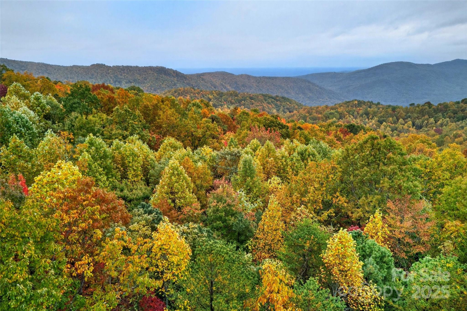 368 Sassafras Drive #726 - Photo 25