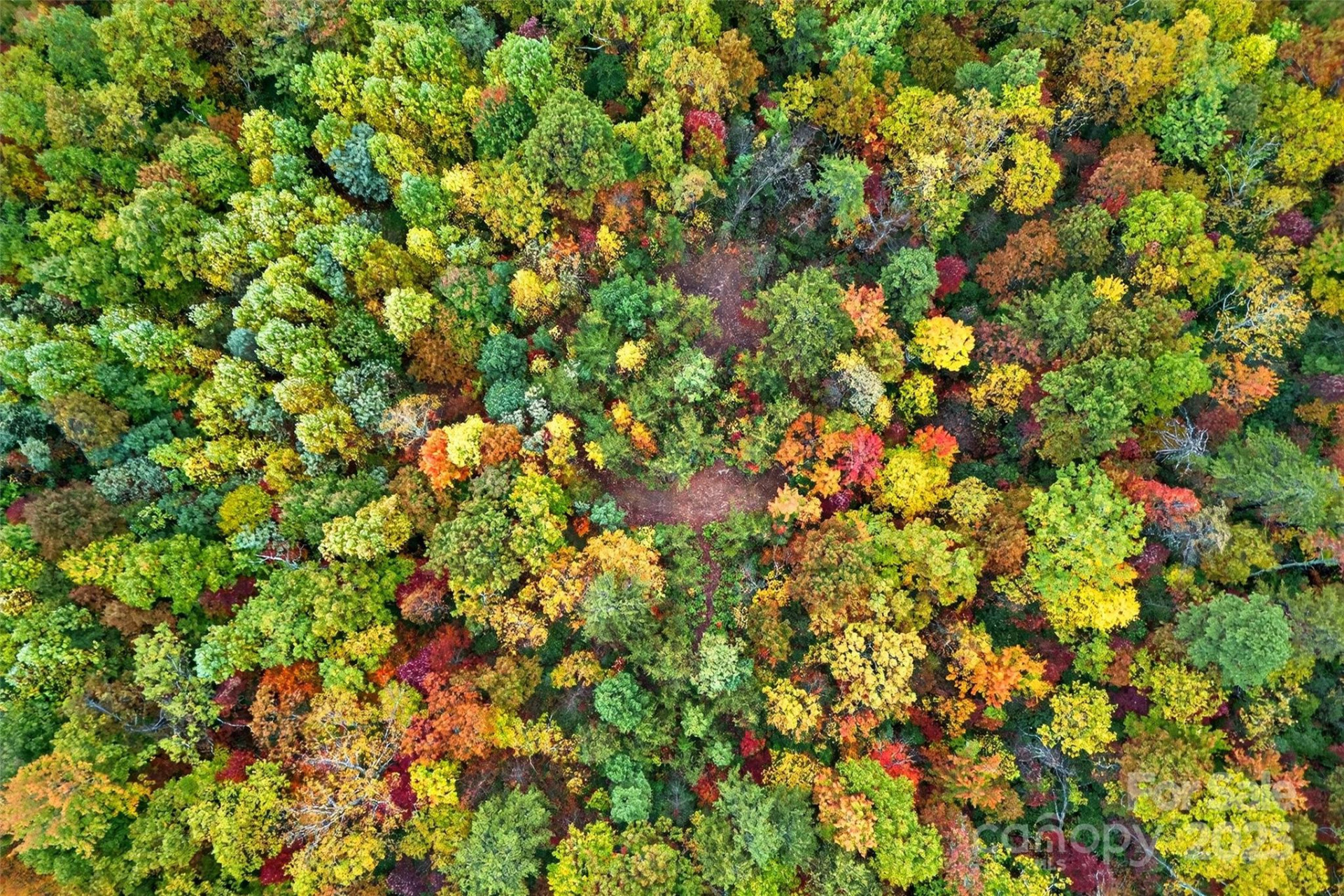 368 Sassafras Drive #726 - Photo 26