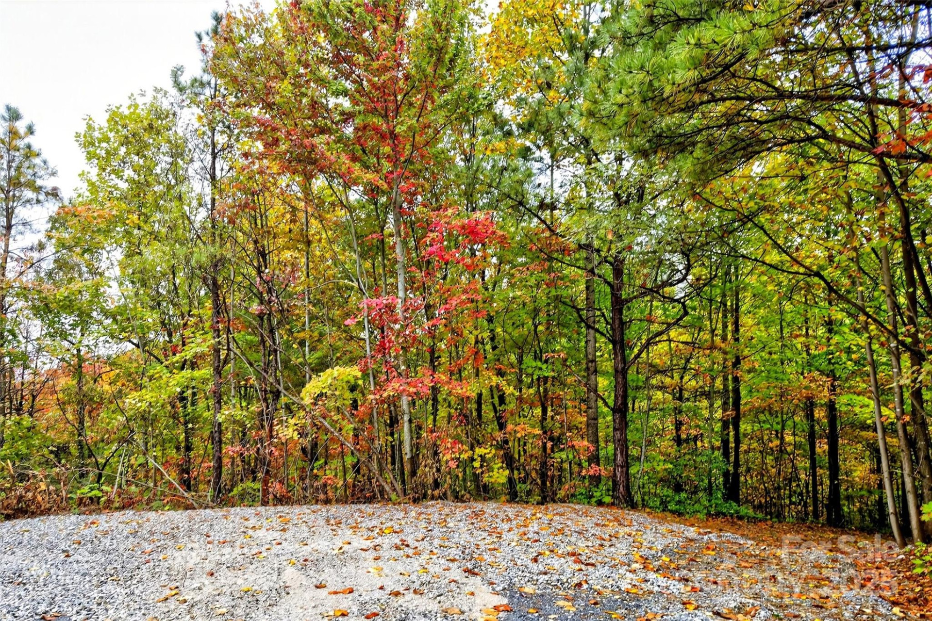 368 Sassafras Drive #726 - Photo 27