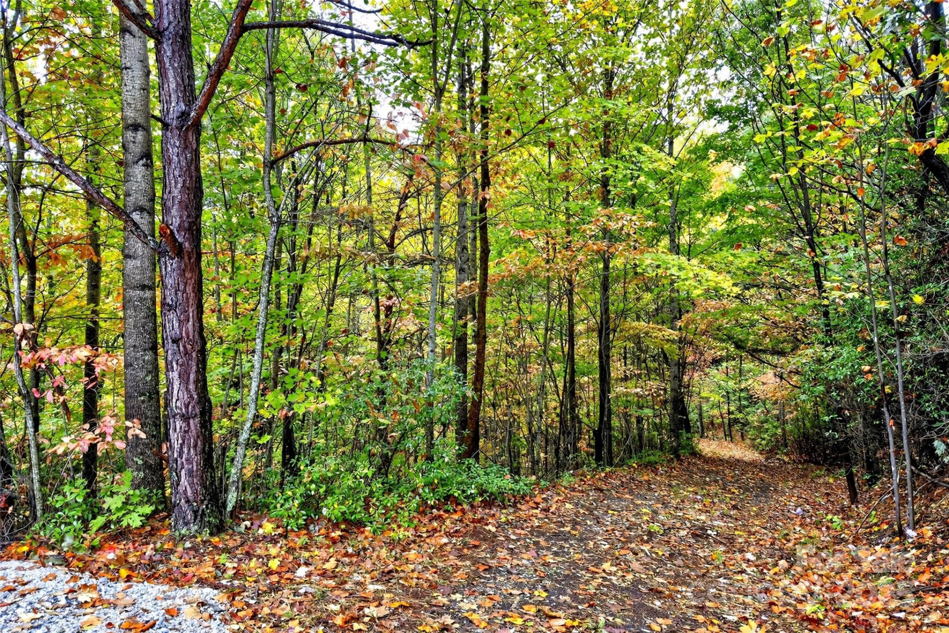 368 Sassafras Drive #726 - Photo 28