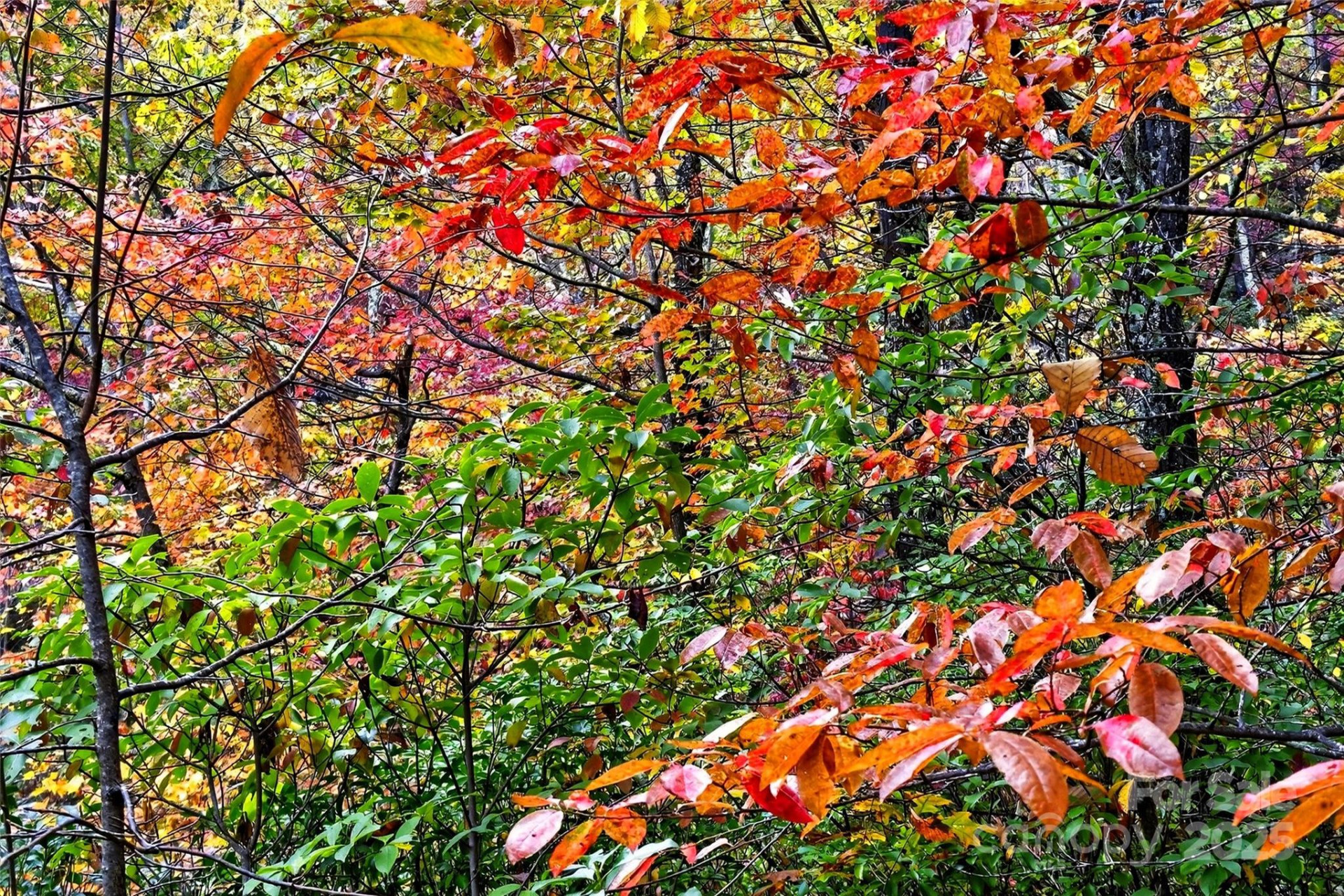 368 Sassafras Drive #726 - Photo 29