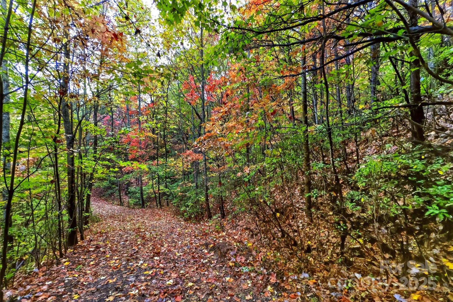 368 Sassafras Drive #726 - Photo 30