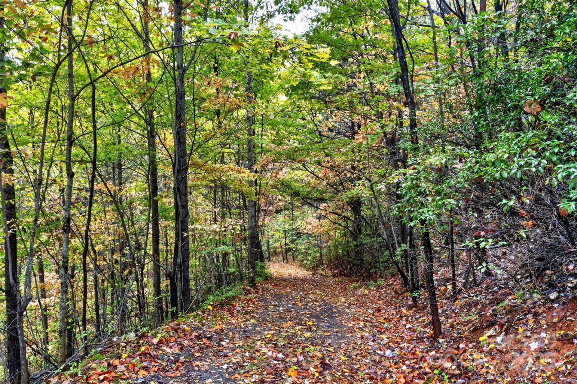 368 Sassafras Drive #726 - Photo 4