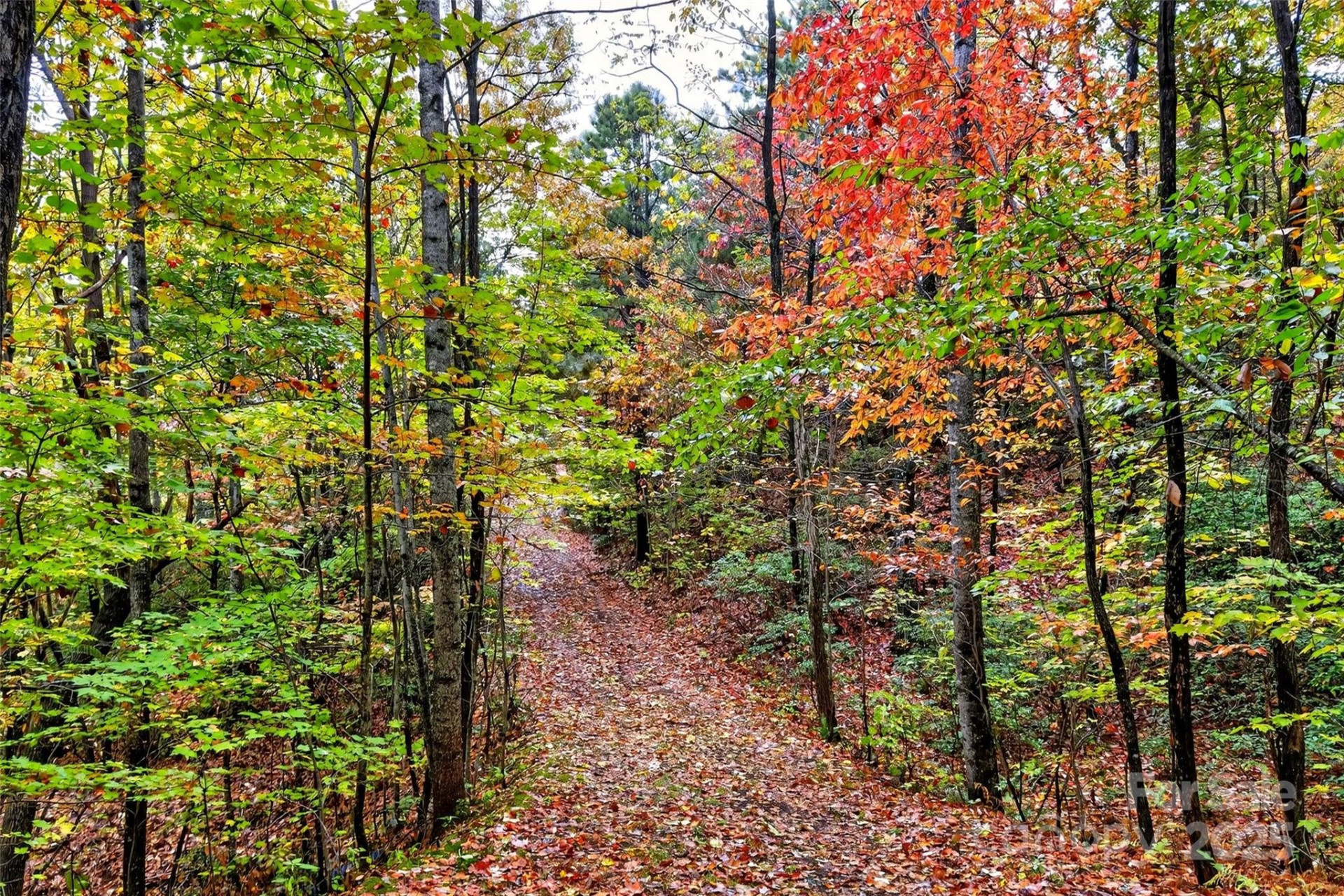 368 Sassafras Drive #726 - Photo 31