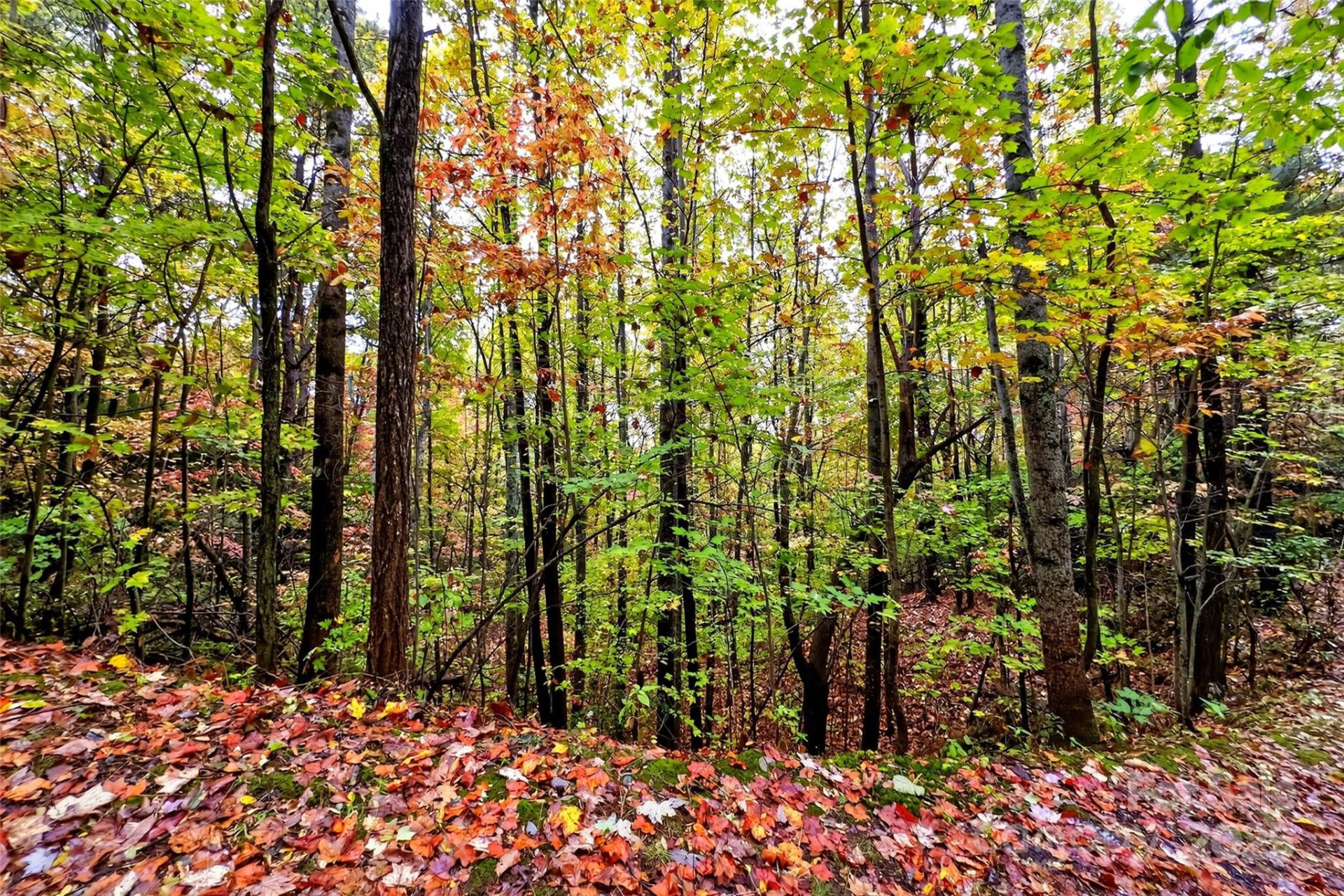 368 Sassafras Drive #726 - Photo 32