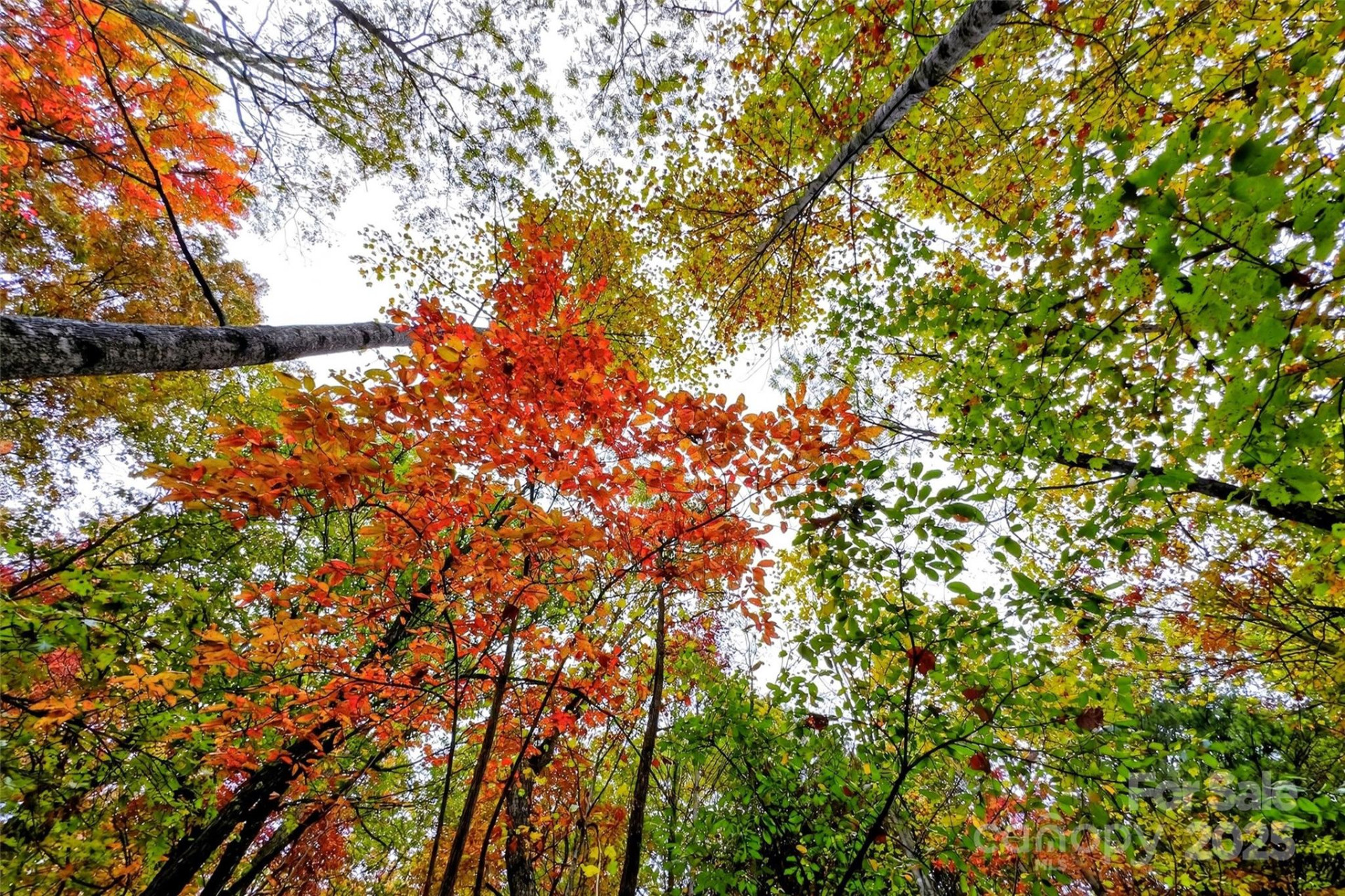 368 Sassafras Drive #726 - Photo 33