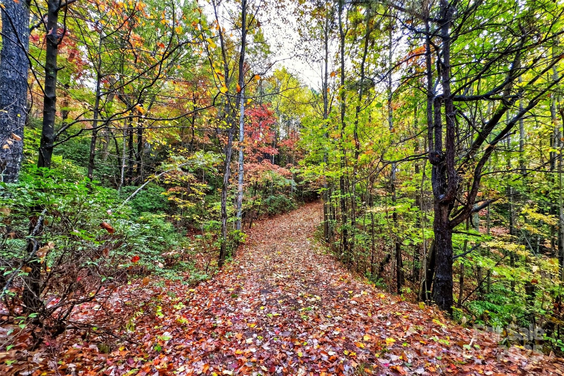 368 Sassafras Drive #726 - Photo 34