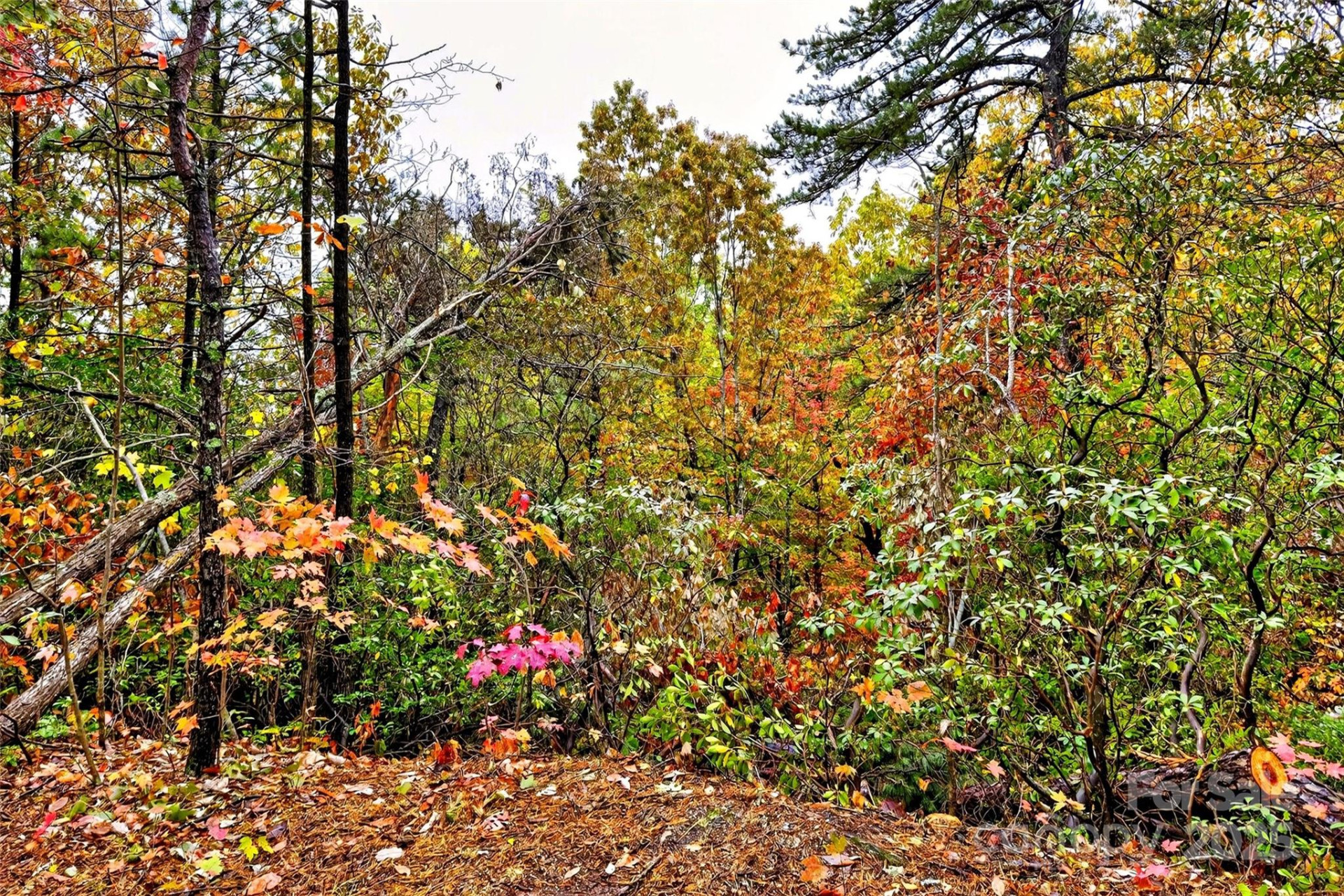 368 Sassafras Drive #726 - Photo 35