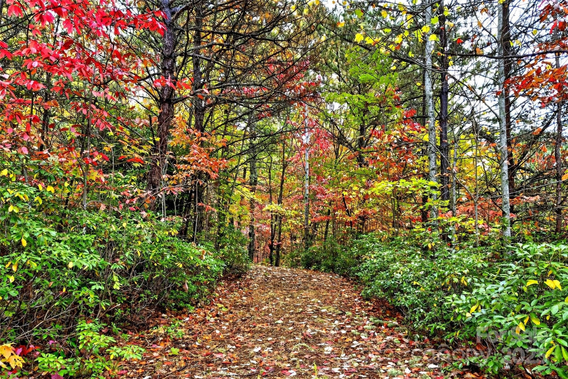 368 Sassafras Drive #726 - Photo 36