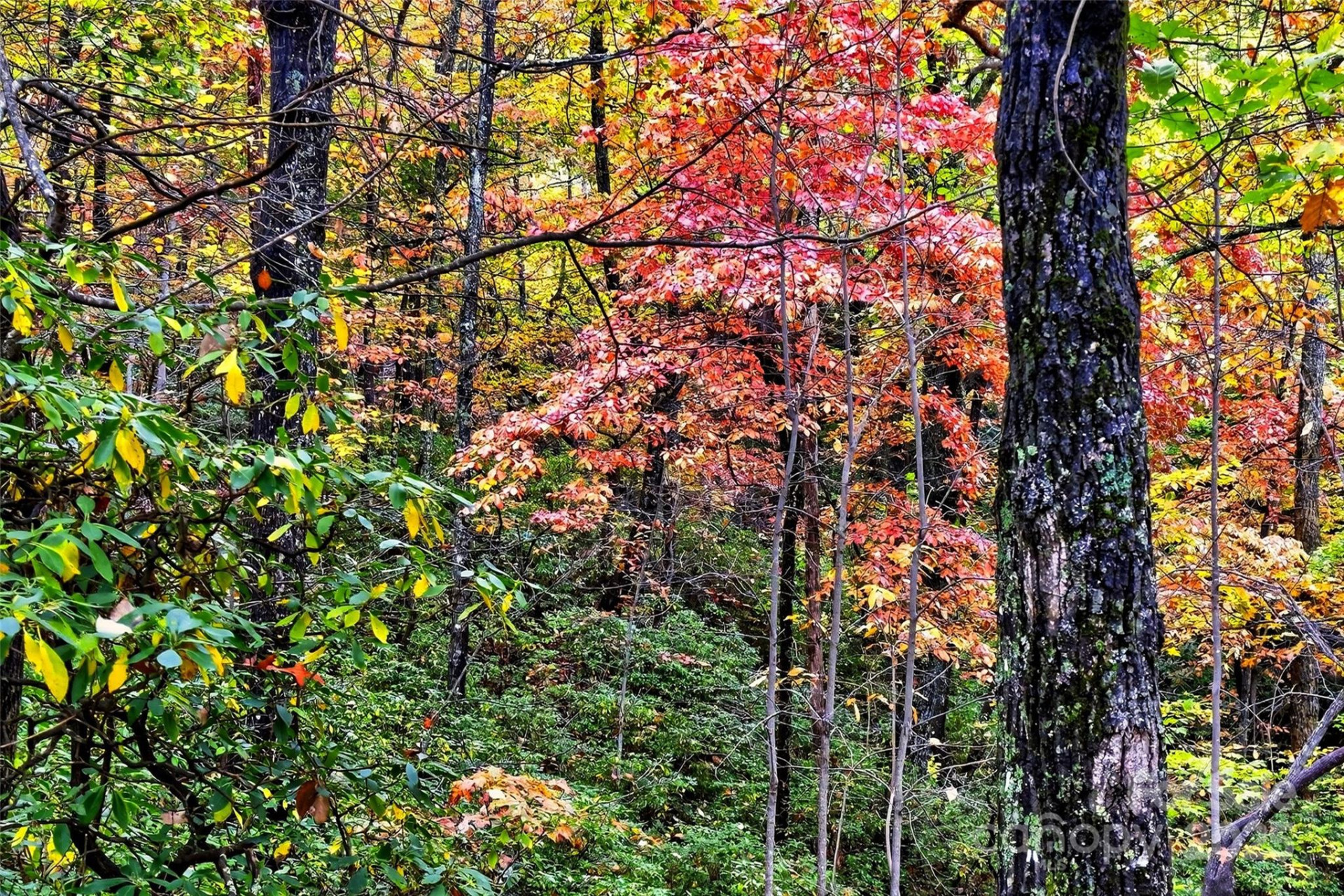 368 Sassafras Drive #726 - Photo 37