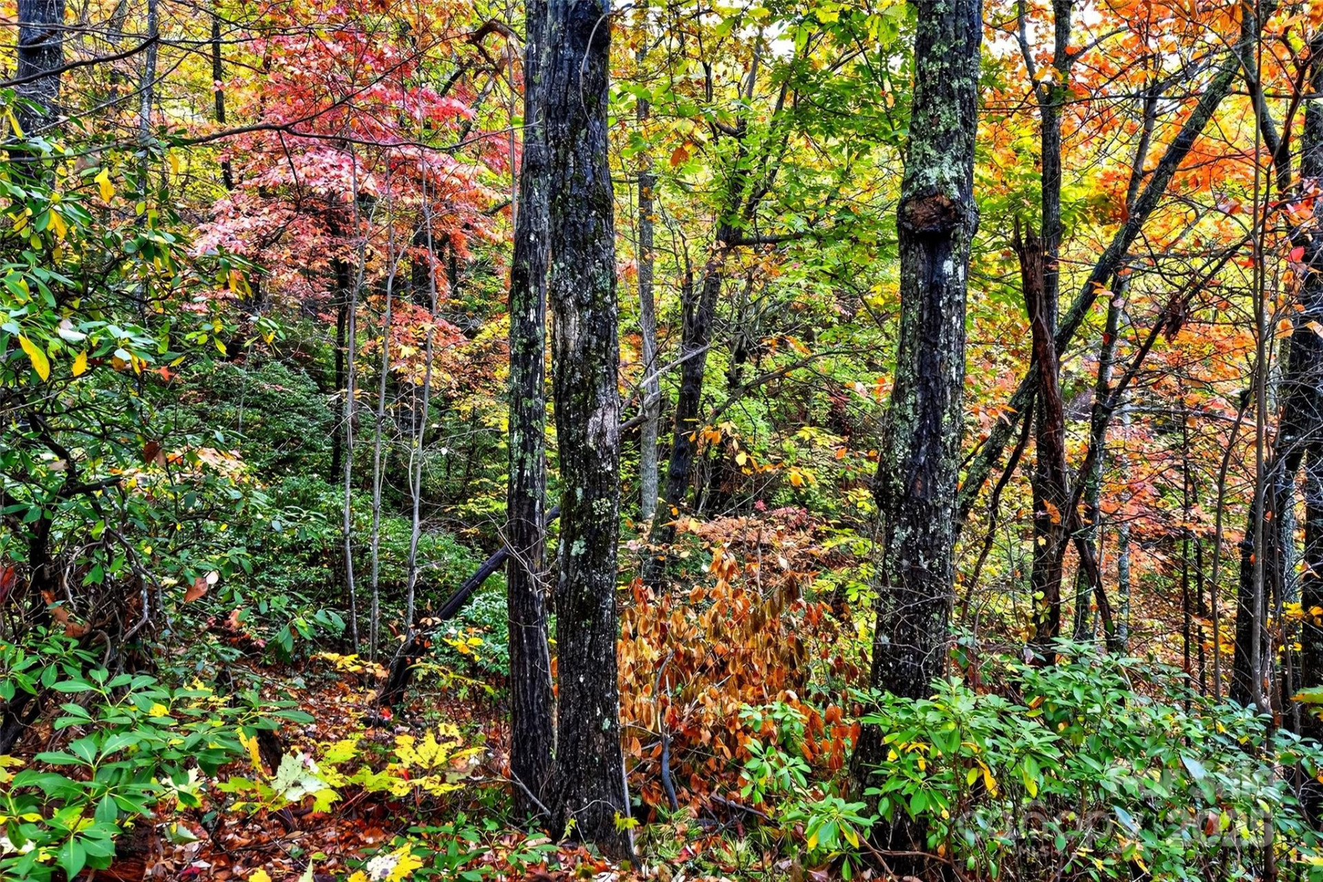 368 Sassafras Drive #726 - Photo 38