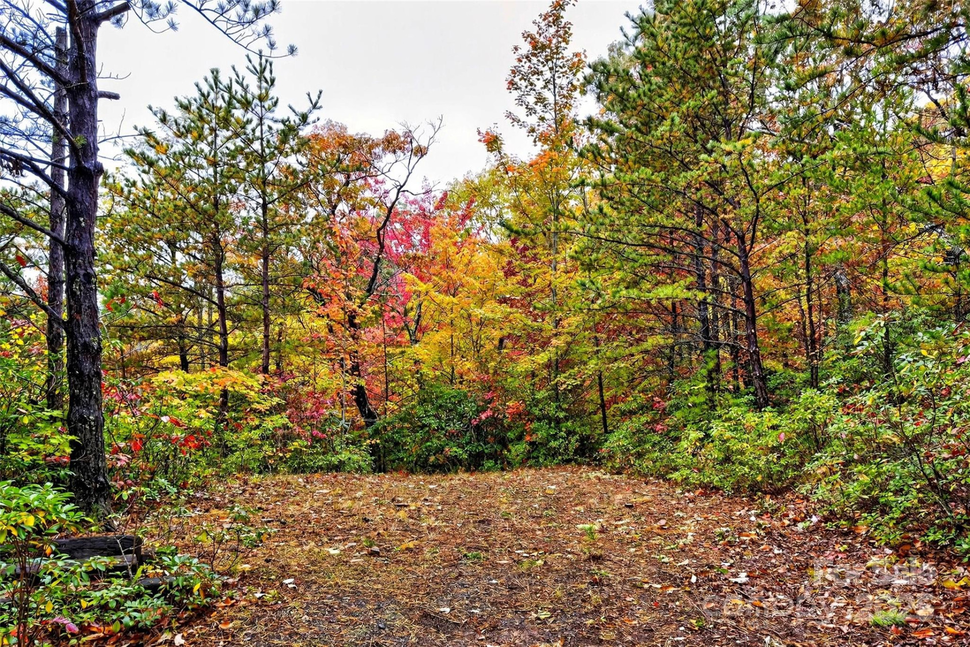 368 Sassafras Drive #726 - Photo 39