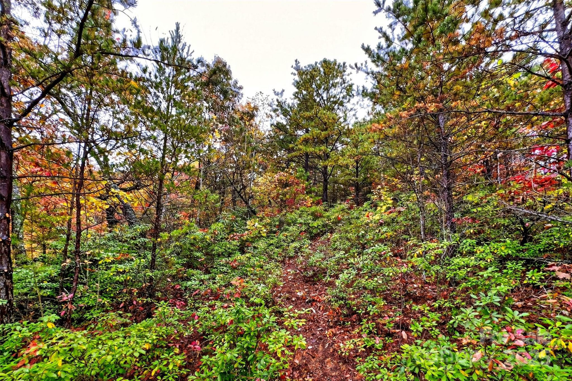 368 Sassafras Drive #726 - Photo 40