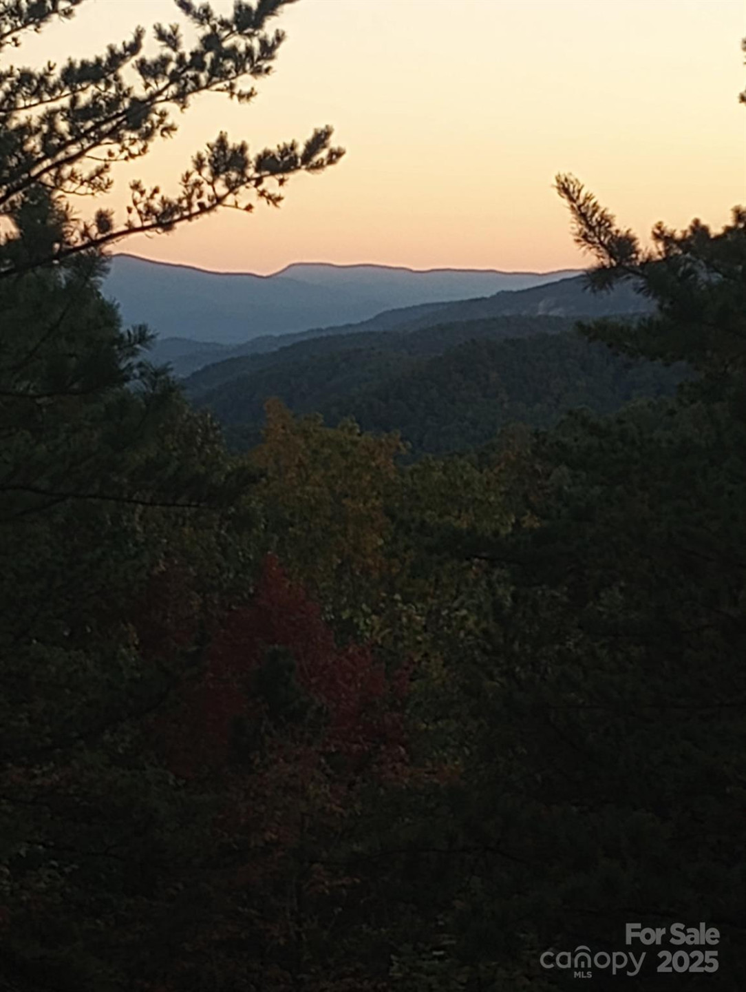 368 Sassafras Drive #726 - Photo 5