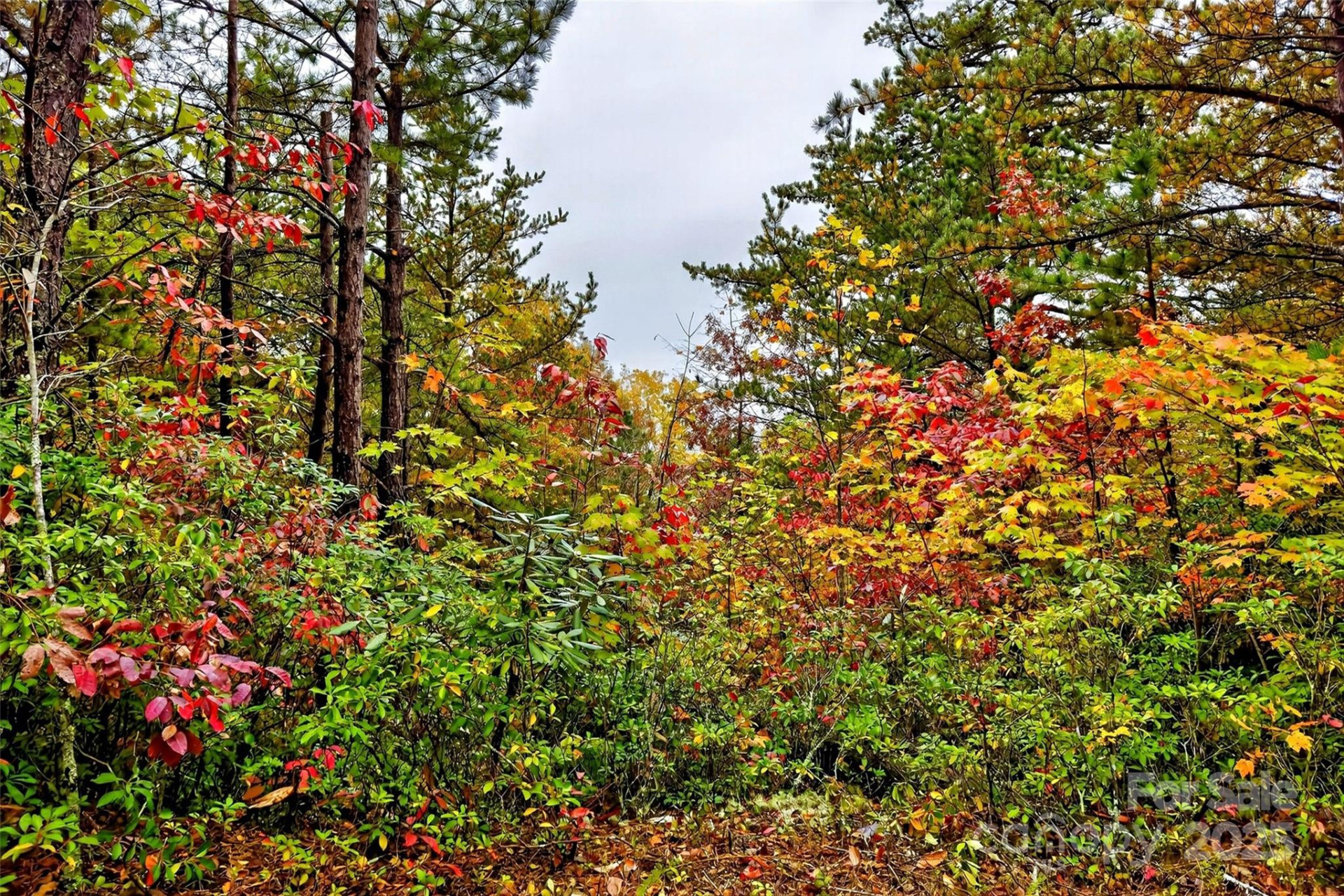 368 Sassafras Drive #726 - Photo 42