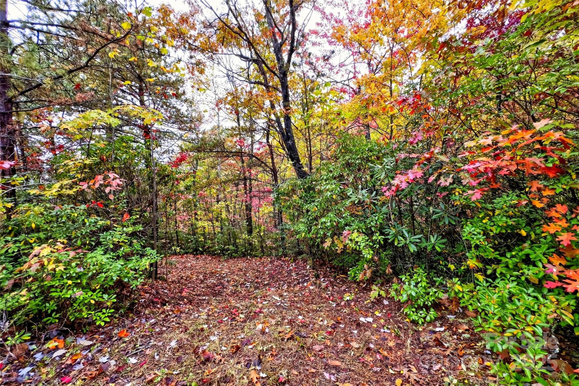 368 Sassafras Drive #726 - Photo 43