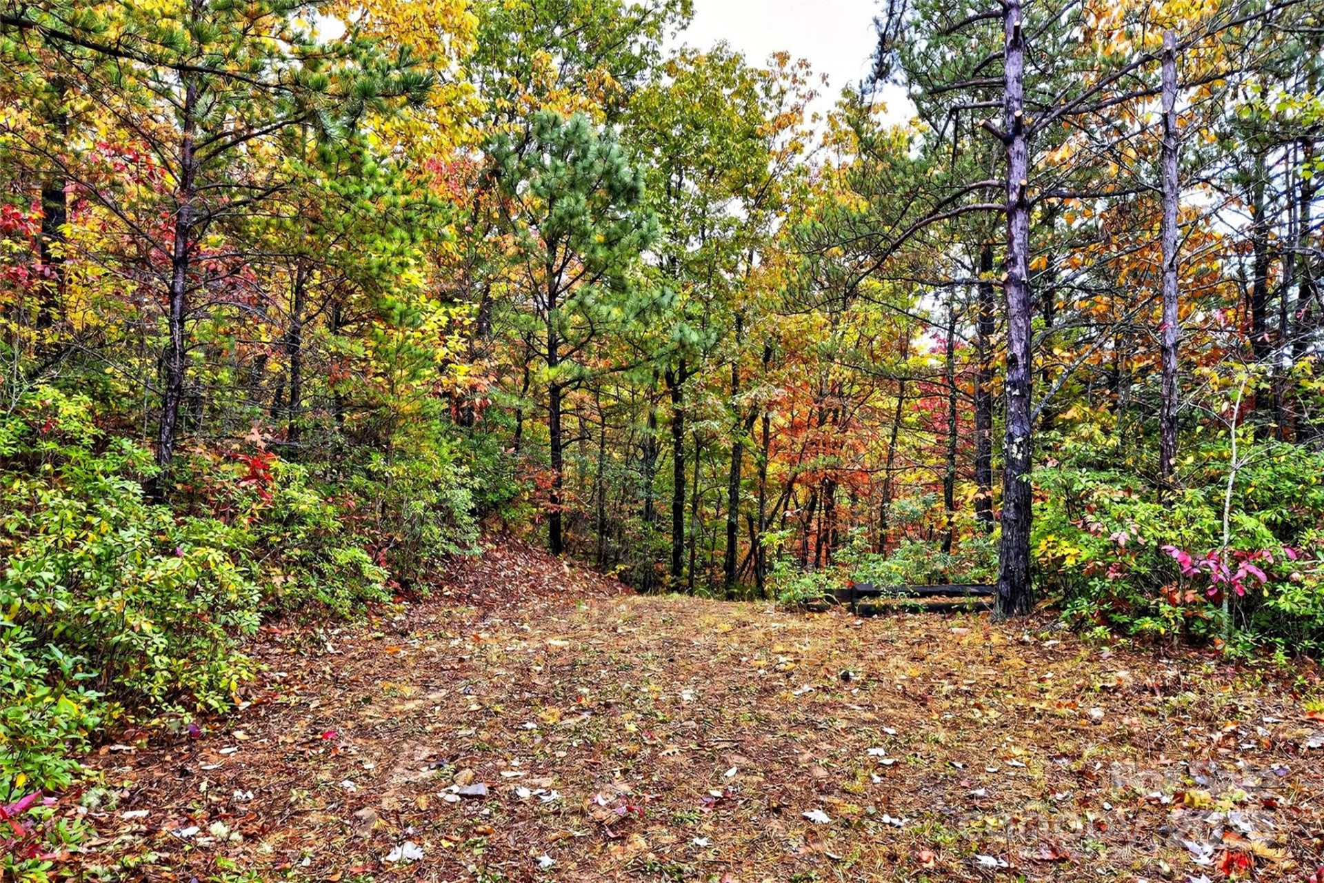 368 Sassafras Drive #726 - Photo 44