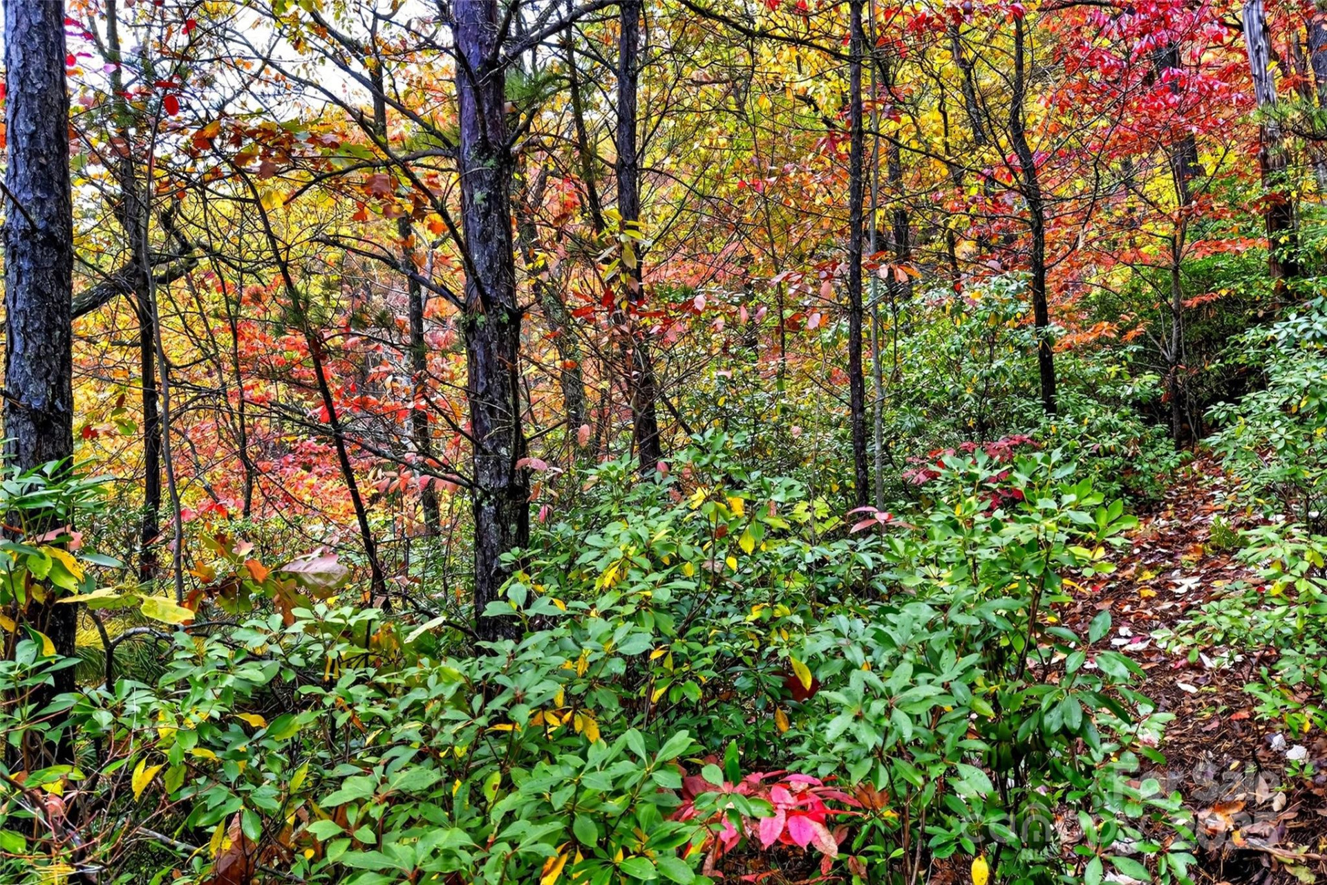 368 Sassafras Drive #726 - Photo 46