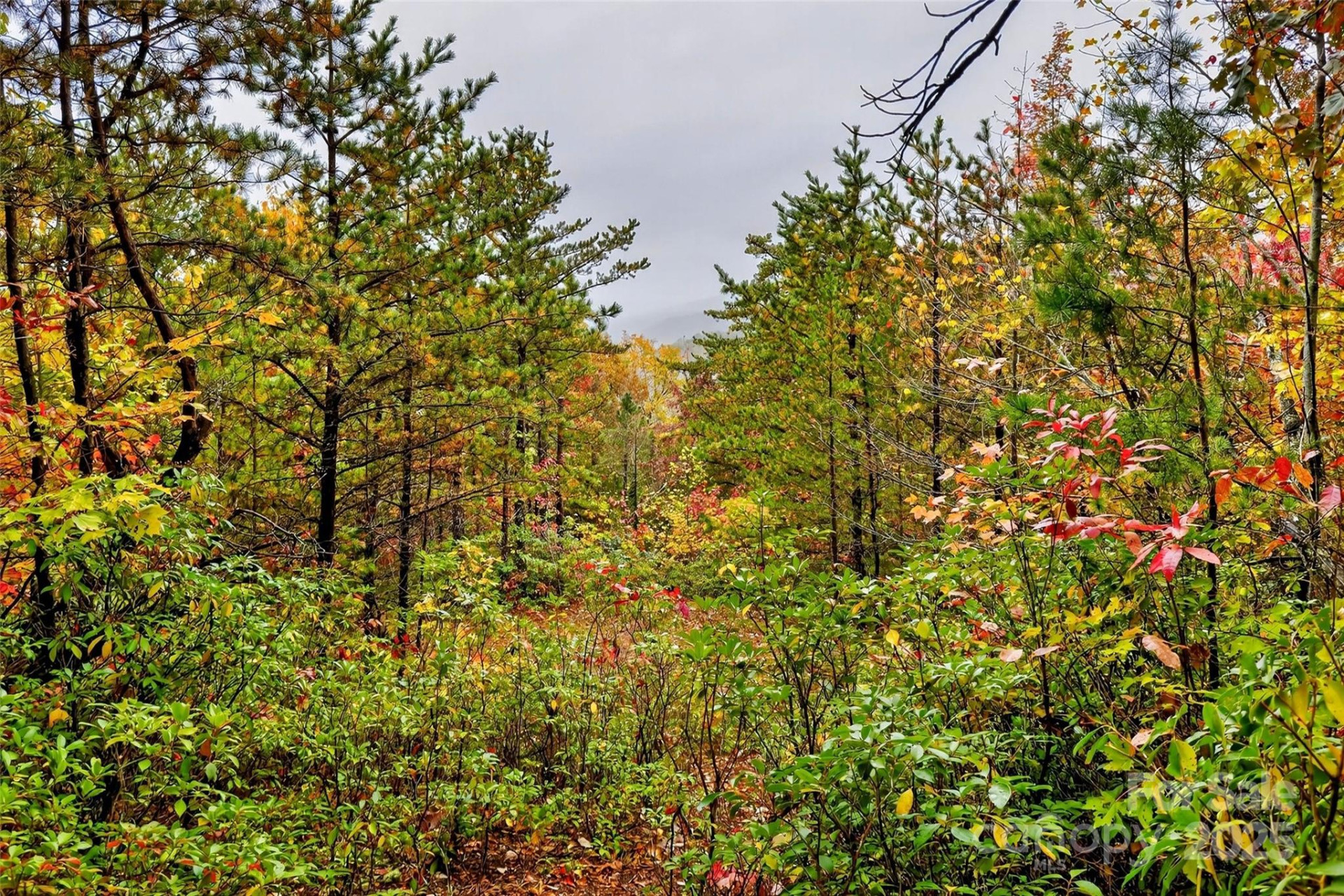 368 Sassafras Drive #726 - Photo 47