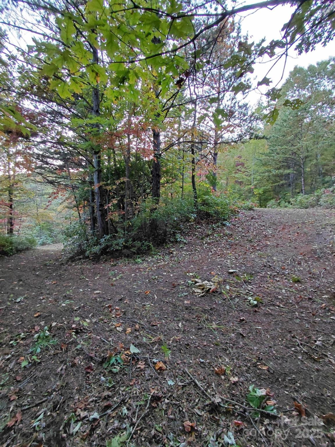 368 Sassafras Drive #726 - Photo 6