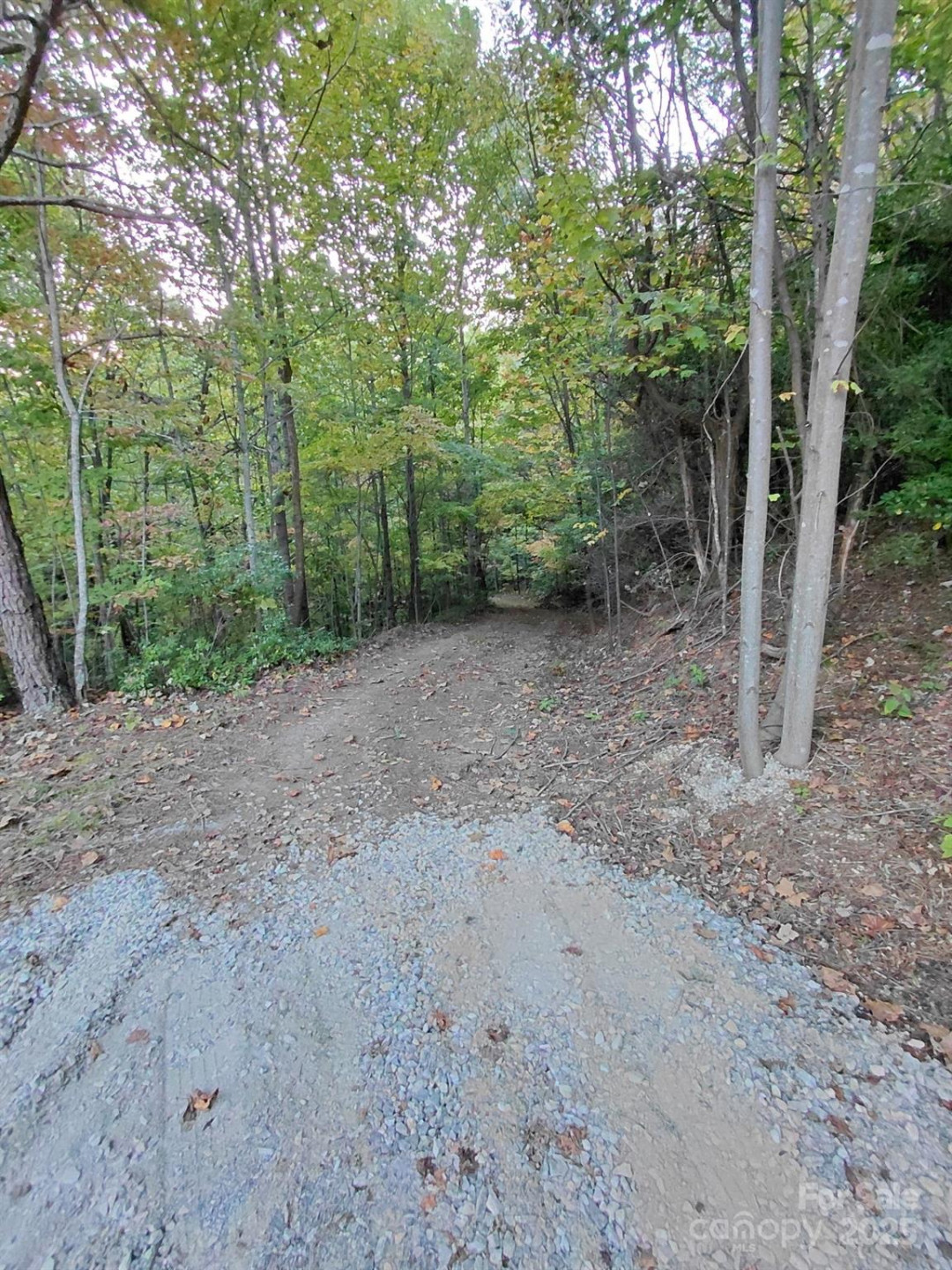 368 Sassafras Drive #726 - Photo 7