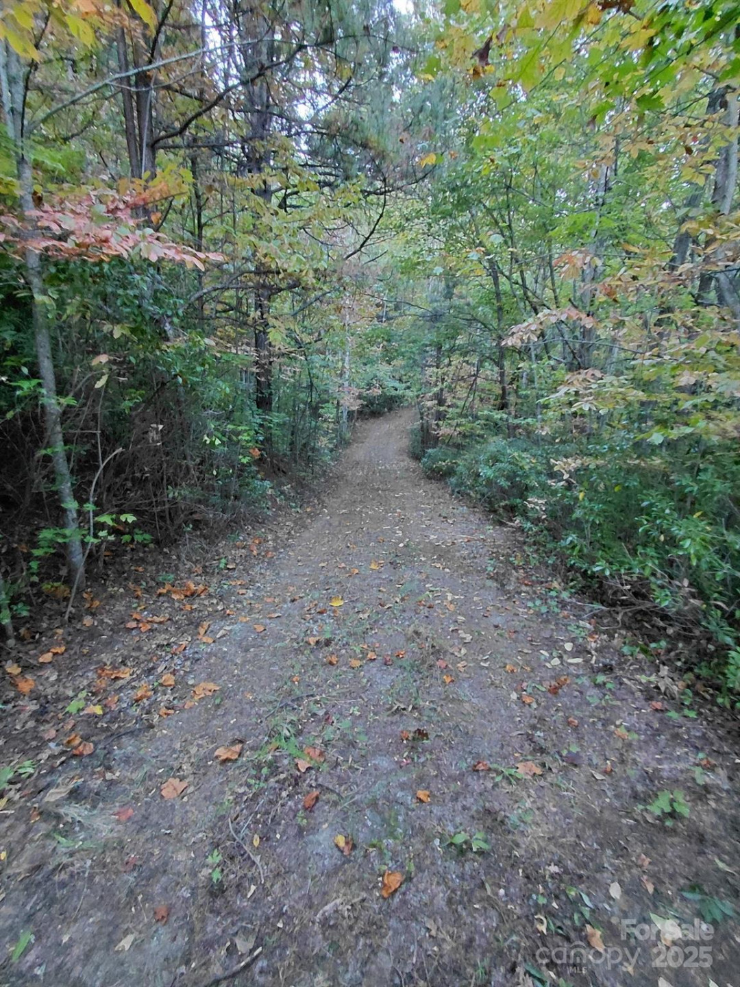 368 Sassafras Drive #726 - Photo 9