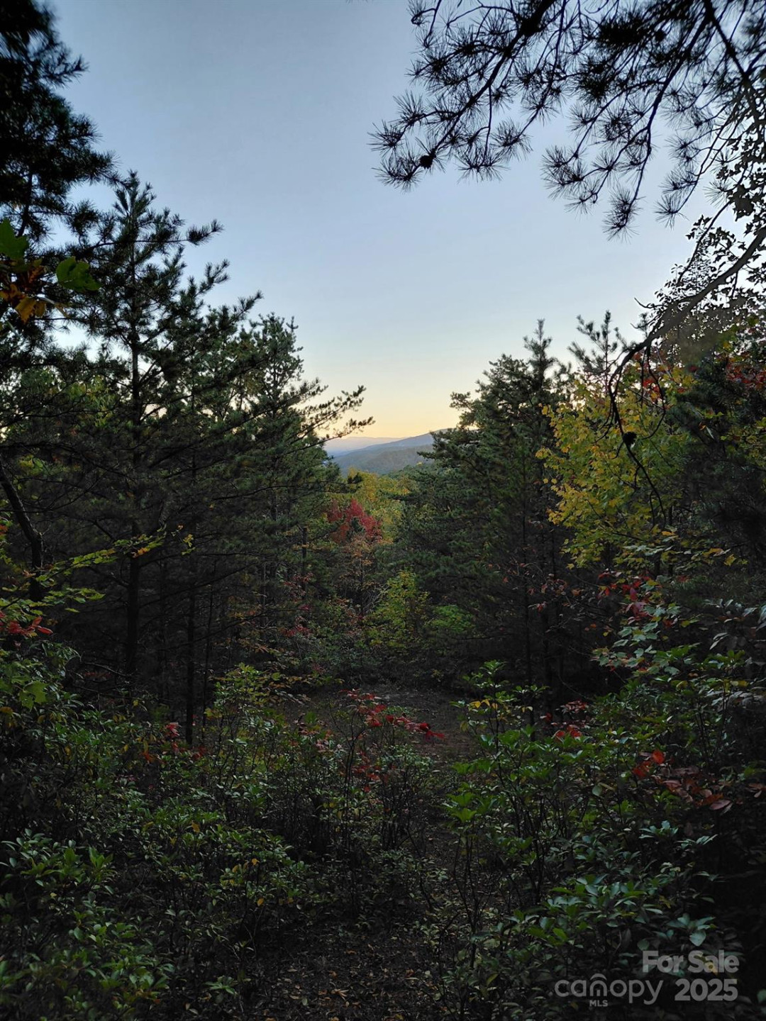 368 Sassafras Drive #726 - Photo 10