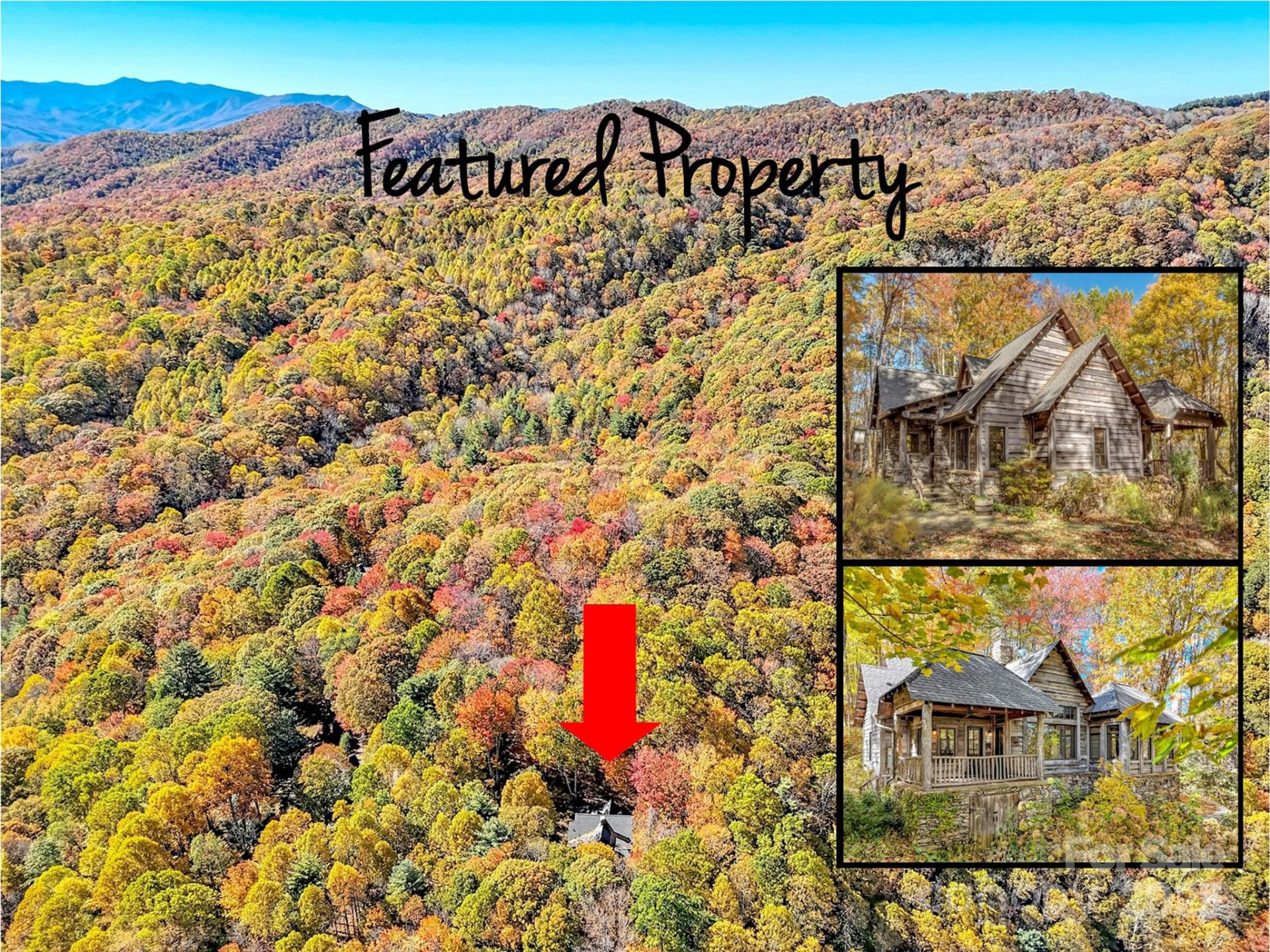 406 Pine Moss Trail - Photo 2