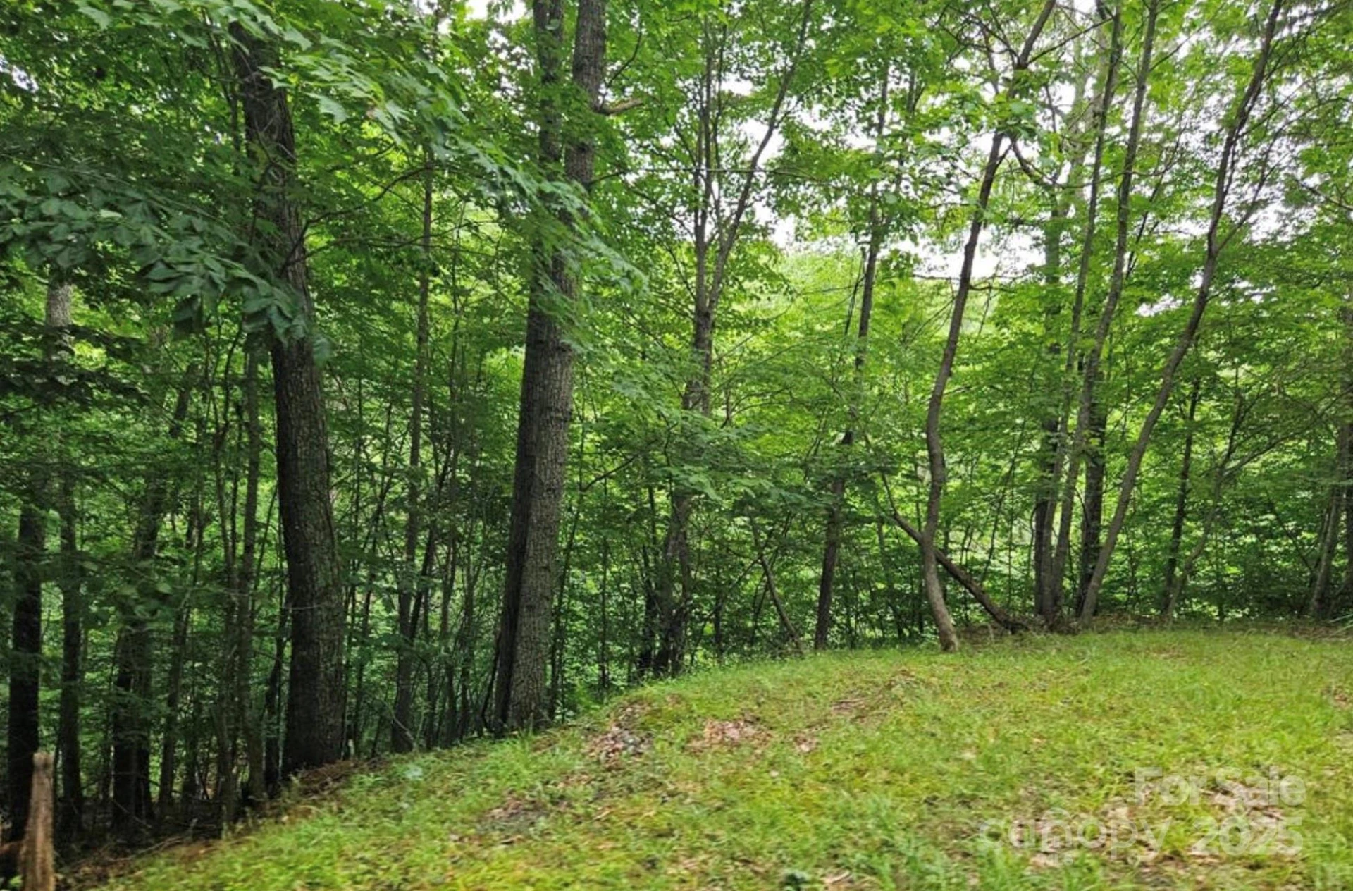 Lot 3 Mountain View Road - Photo 2