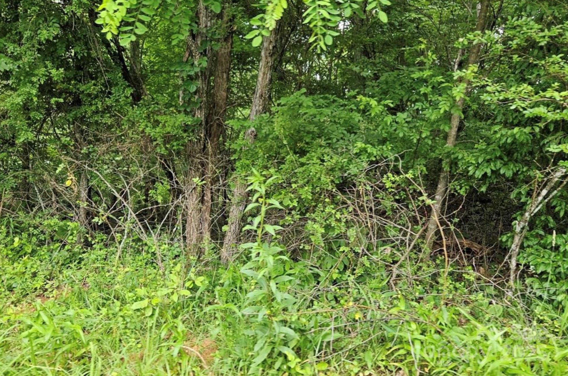 Lot 3 Mountain View Road - Photo 11