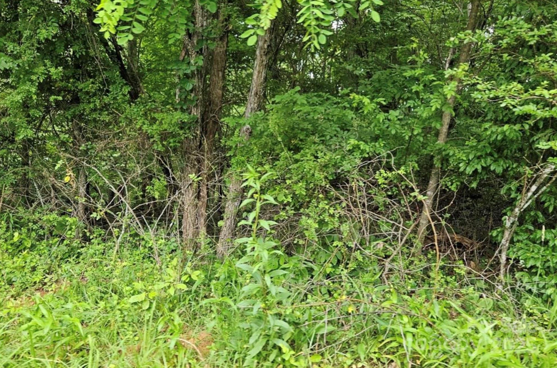 Lot 3 Mountain View Road - Photo 11