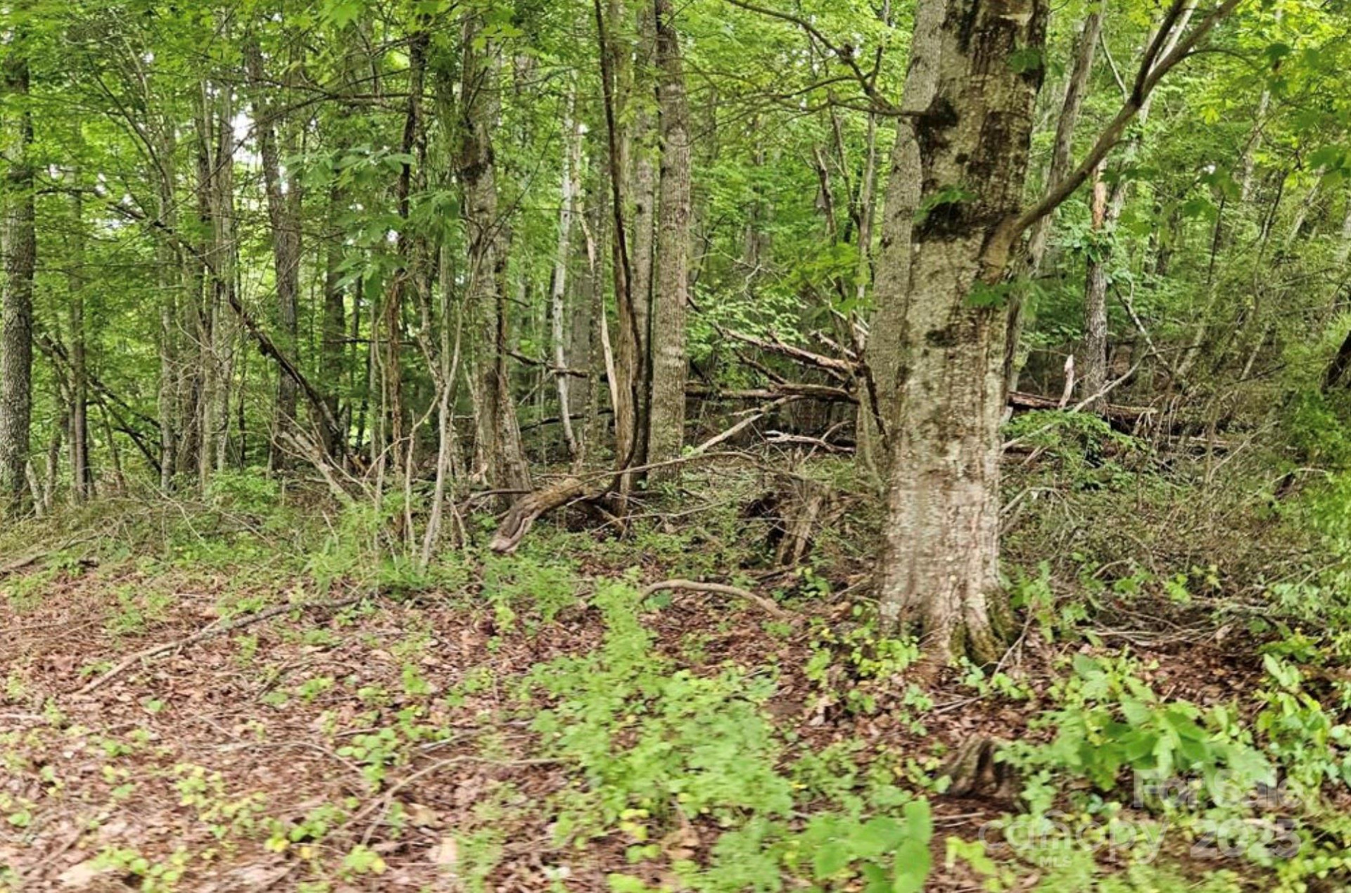 Lot 3 Mountain View Road - Photo 12