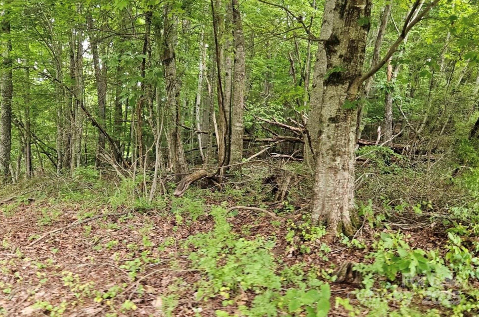 Lot 3 Mountain View Road - Photo 12