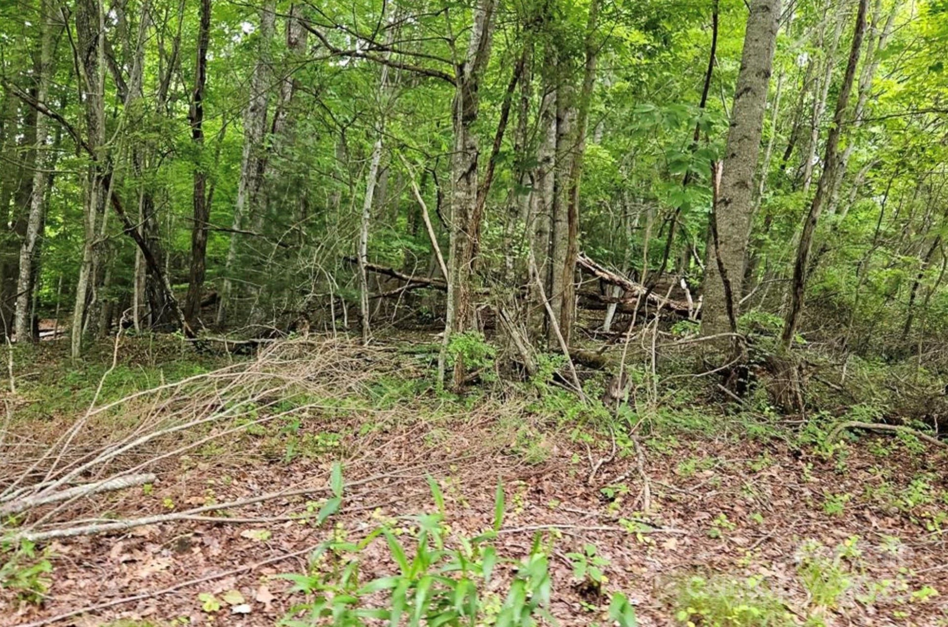 Lot 3 Mountain View Road - Photo 13