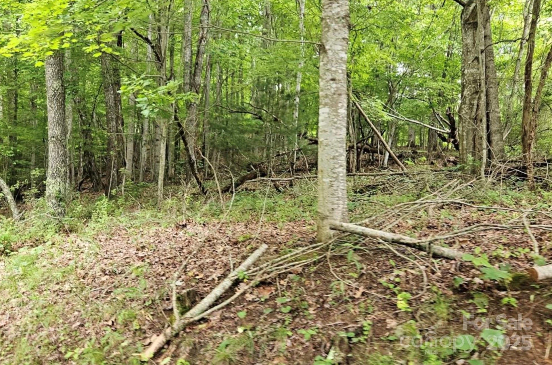 Lot 3 Mountain View Road - Photo 14
