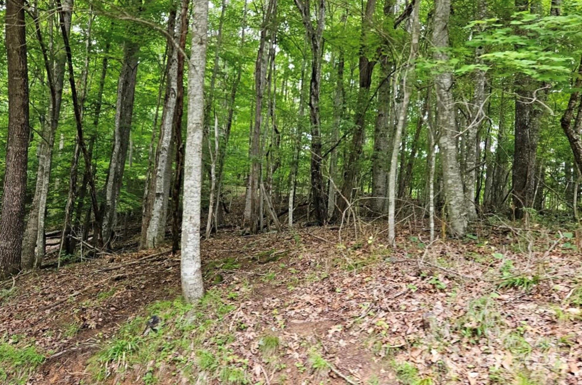 Lot 3 Mountain View Road - Photo 15