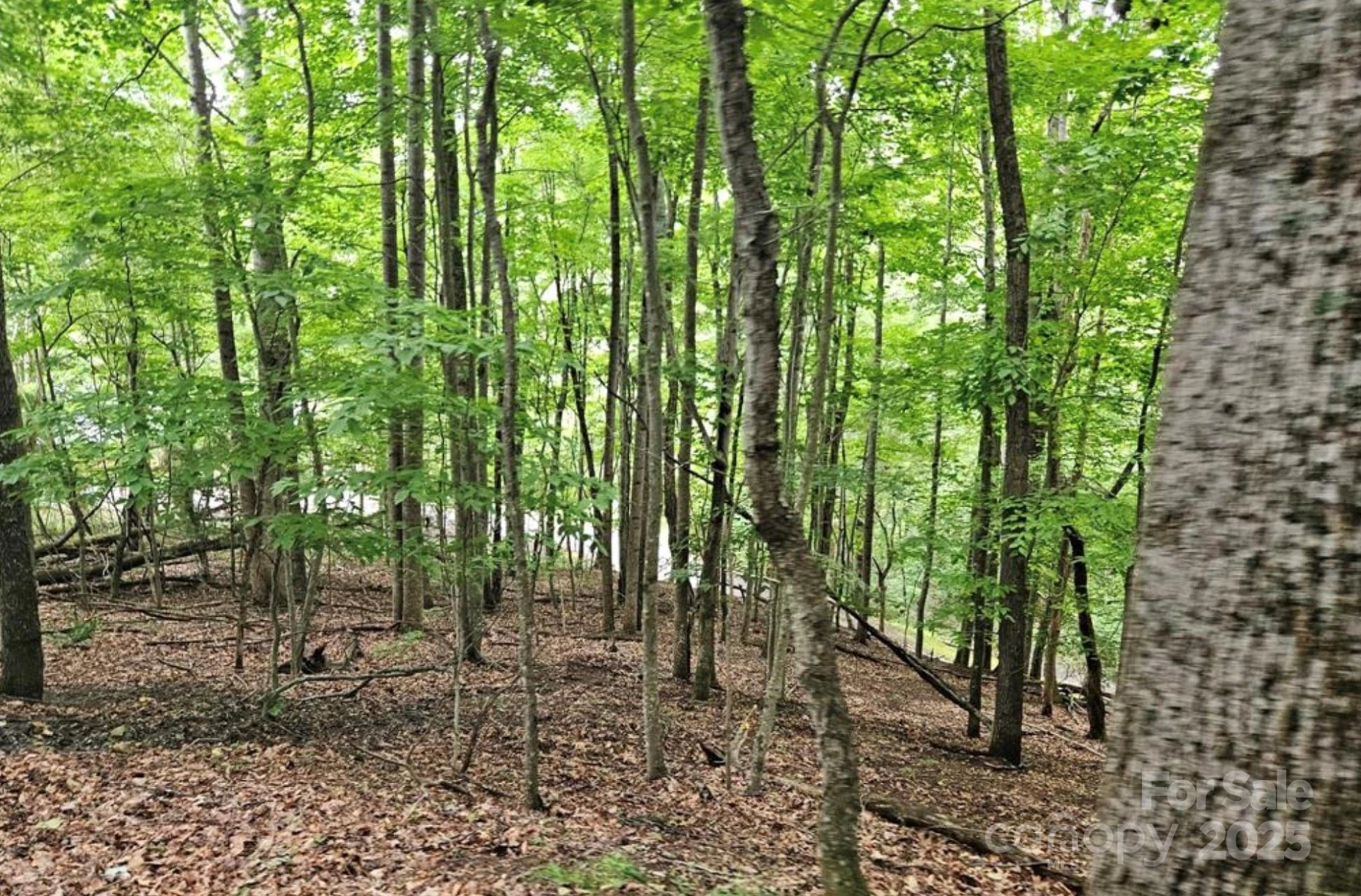 Lot 3 Mountain View Road - Photo 3