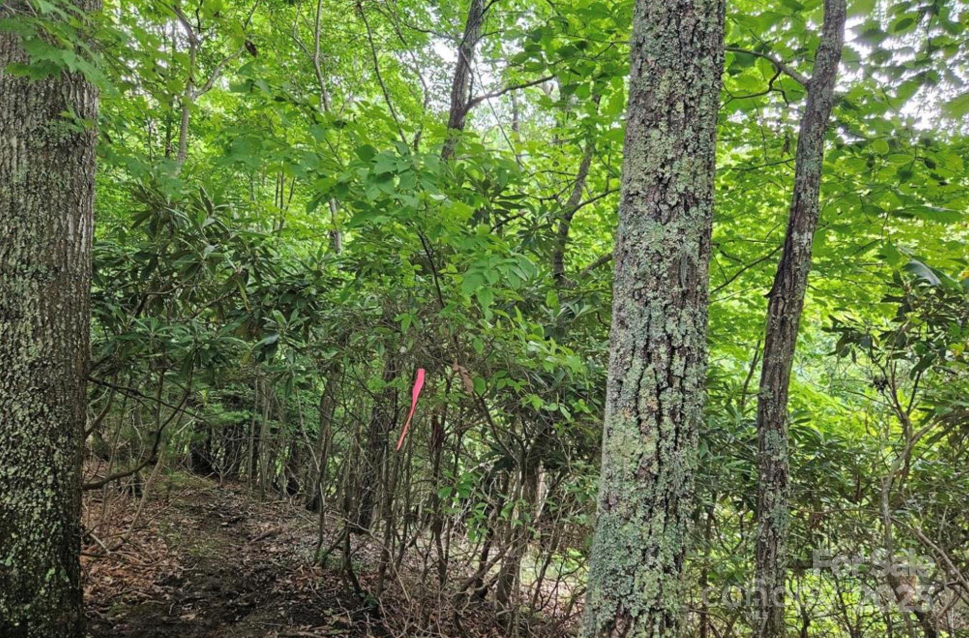 Lot 3 Mountain View Road - Photo 4