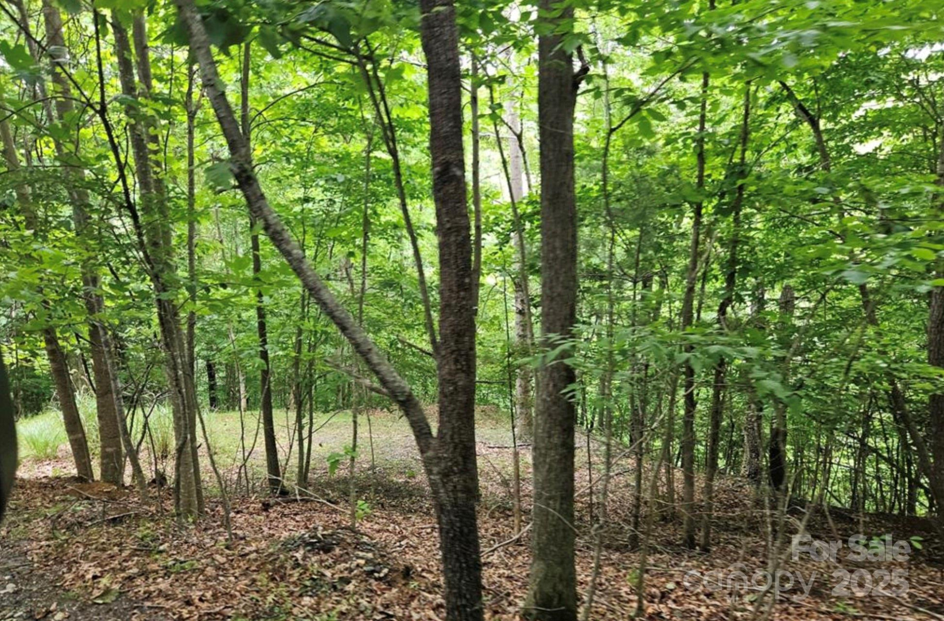 Lot 3 Mountain View Road - Photo 5