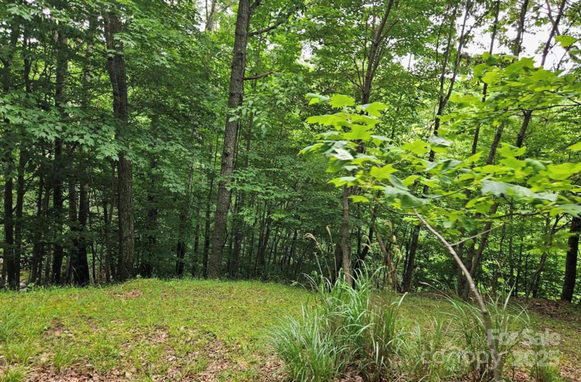 Lot 3 Mountain View Road - Photo 6