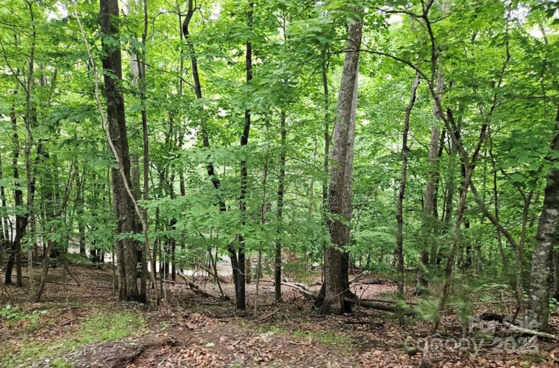 Lot 3 Mountain View Road - Photo 7