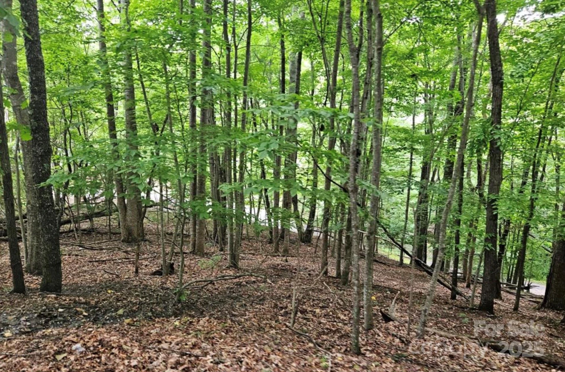 Lot 3 Mountain View Road - Photo 8
